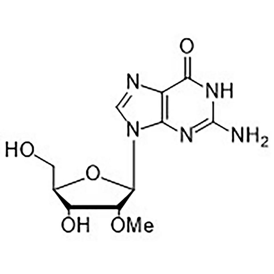 2'-O-Methylguanosine, 1 g, Glass Screw-Top